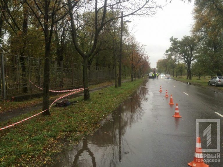 Смертельное ДТП в Кривом Роге: водитель сбил пенсионерку и скрылся
