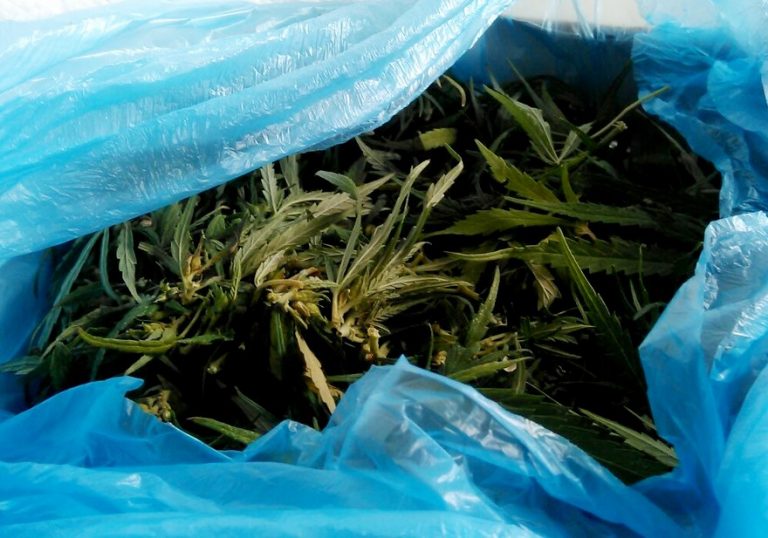 В Днепре задержали наркоторговца с большой партией марихуаны