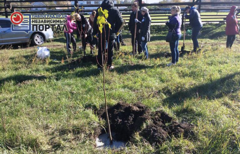 В Павлограде прошла акция «Зелёный город» (ФОТО и ВИДЕО)