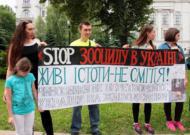 Жители Днепра вышли на митинг
