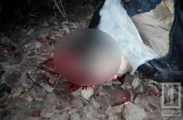 Жуткое самоубийство: мужчина лег головой под поезд (фото 18+)
