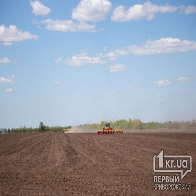 Аграрии Криворожья посеяли уже более половины озимых