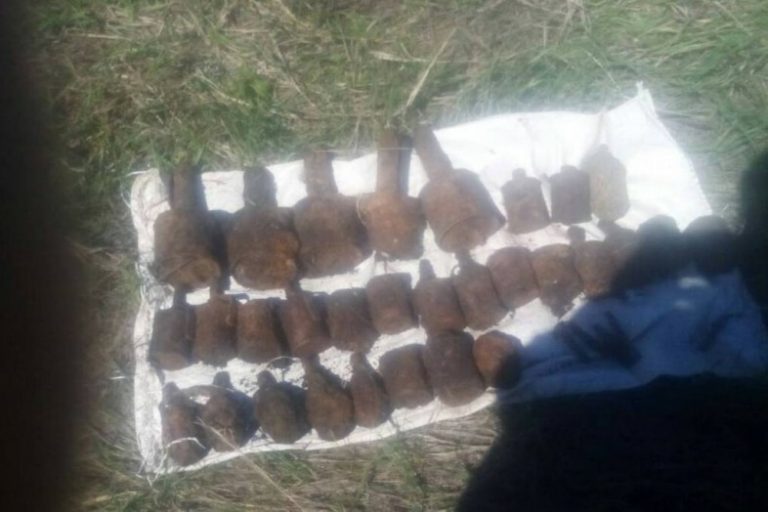 Историко-поисковая группа нашла в Криворожском районе 37 единиц взрывоопасных предметов