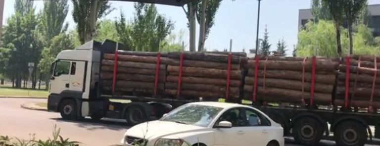 Криворожанин на элитном авто перевозил в прицепе украденные дрова