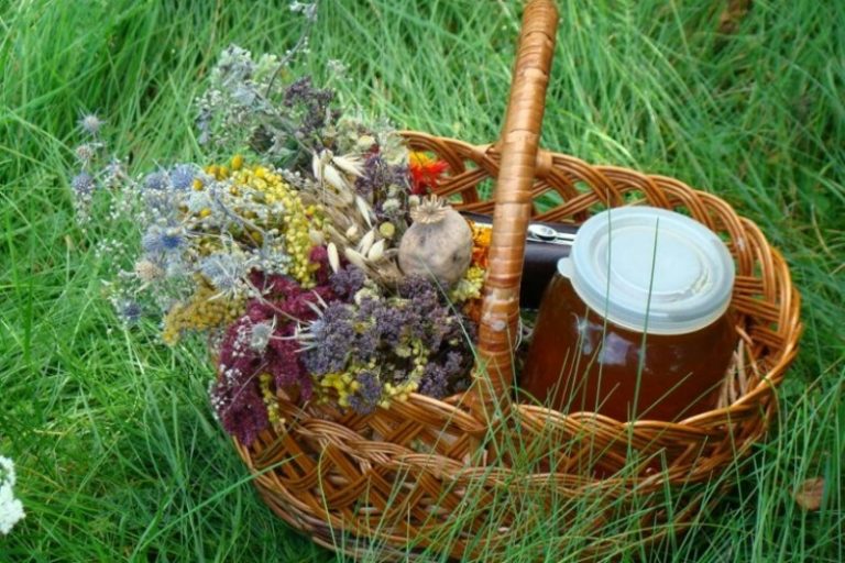 Мужчины в казацкой одежде, букет со значением и проводы лета, — в Украине отмечают Маковея